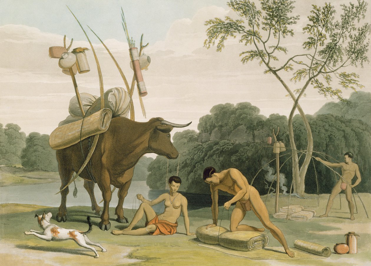 Korah Hottentots Przygotowanie do usunięcia, płyta 20 z „Afrykańska sceneria i zwierzęta”, ryty przez artystę, 1805 (akwatinta) autorstwa Samuel Daniell