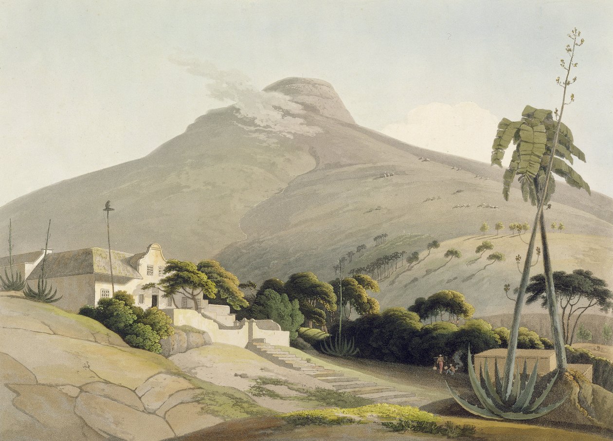 Widok Głowy Lwa, tablica 28 z "Afrykańskich krajobrazów i zwierząt", wyryta przez artystę, 1805 (akwatinta) autorstwa Samuel Daniell