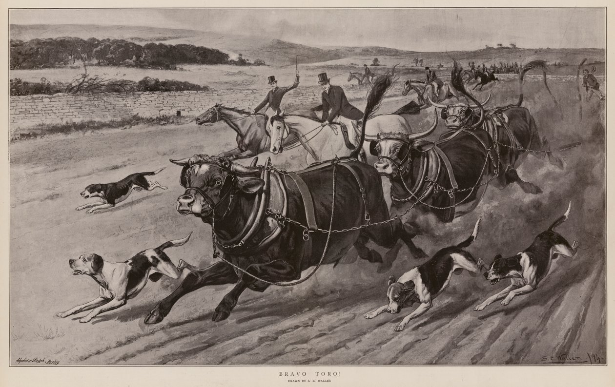 Bravo Toro! (litho) autorstwa Samuel Edmund (after) Waller