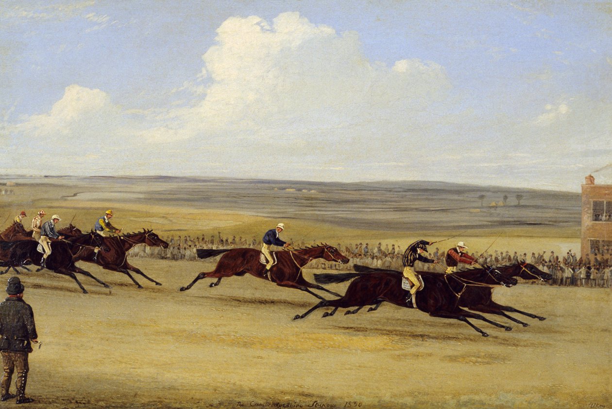 1850 Cambridgeshire Stakes: The Finish (olej na płótnie) (patrz także 266406) autorstwa Samuel Henry Alken
