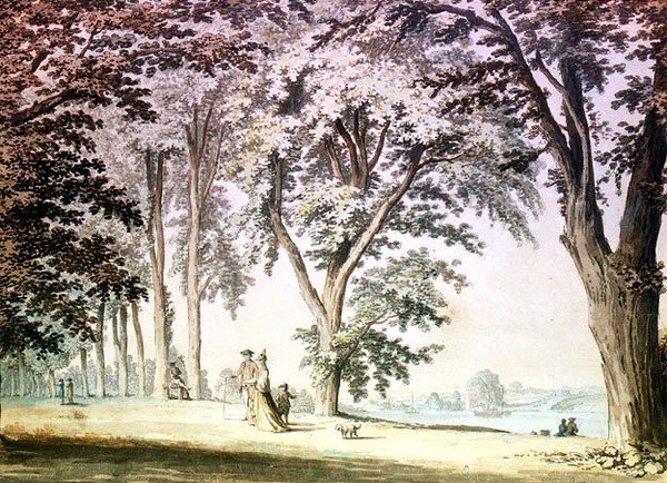 Drzewa nad Tamizą naprzeciwko Hammersmith autorstwa Samuel Hieronymous Grimm