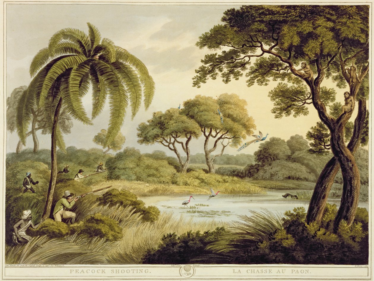 Peacock Shooting, z Oriental Field Sports, wyd. Edwarda Orme, 1807 (druk) autorstwa Samuel Howett
