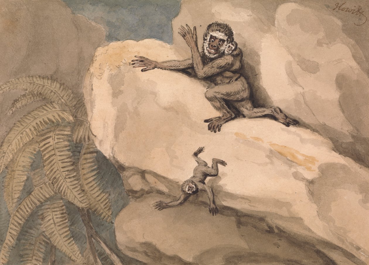 Małpa i młody autorstwa Samuel Howitt