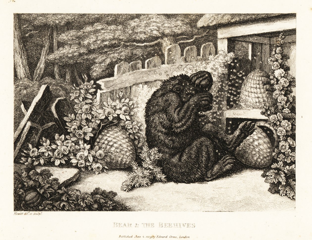 Niedźwiedź brunatny zaatakowany przez armię pszczół. 1811 (akwaforta) autorstwa Samuel Howitt