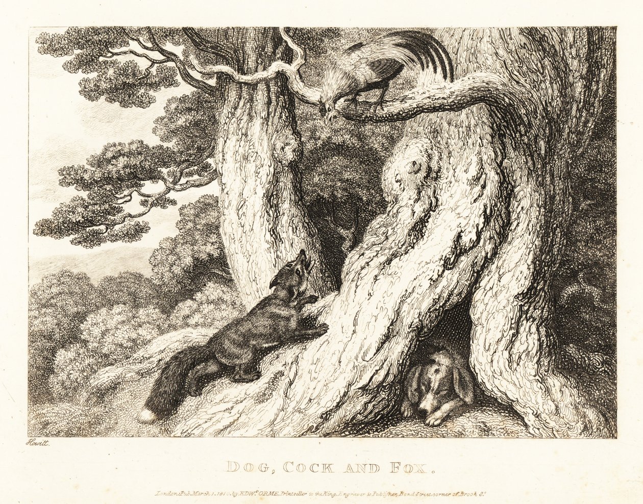 Kogut na drzewie przechytrza lisa, a pies śpi. 1811 (akwaforta) autorstwa Samuel Howitt