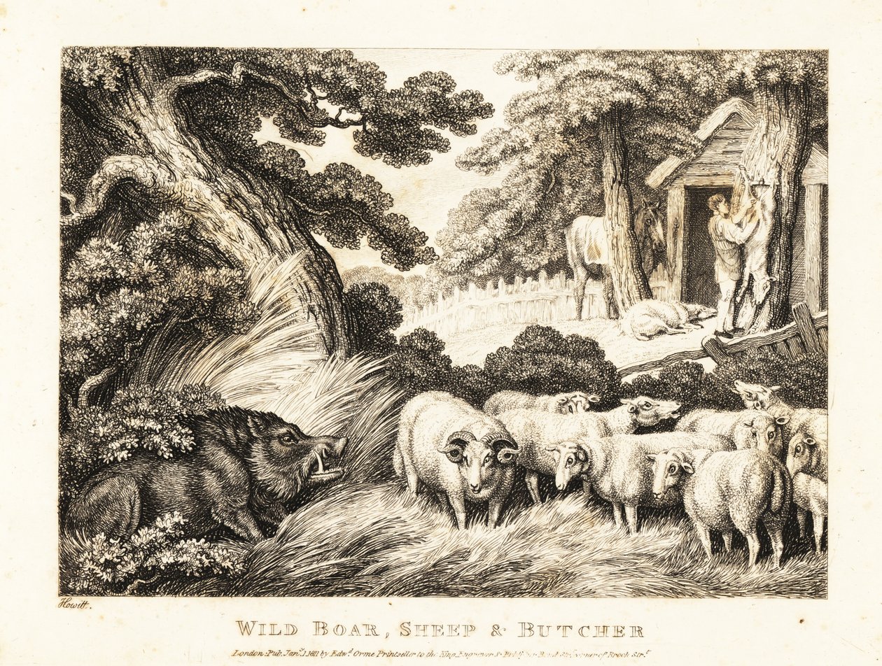 Stado owiec czeka na rzeź u rzeźnika. 1811 (akwaforta) autorstwa Samuel Howitt