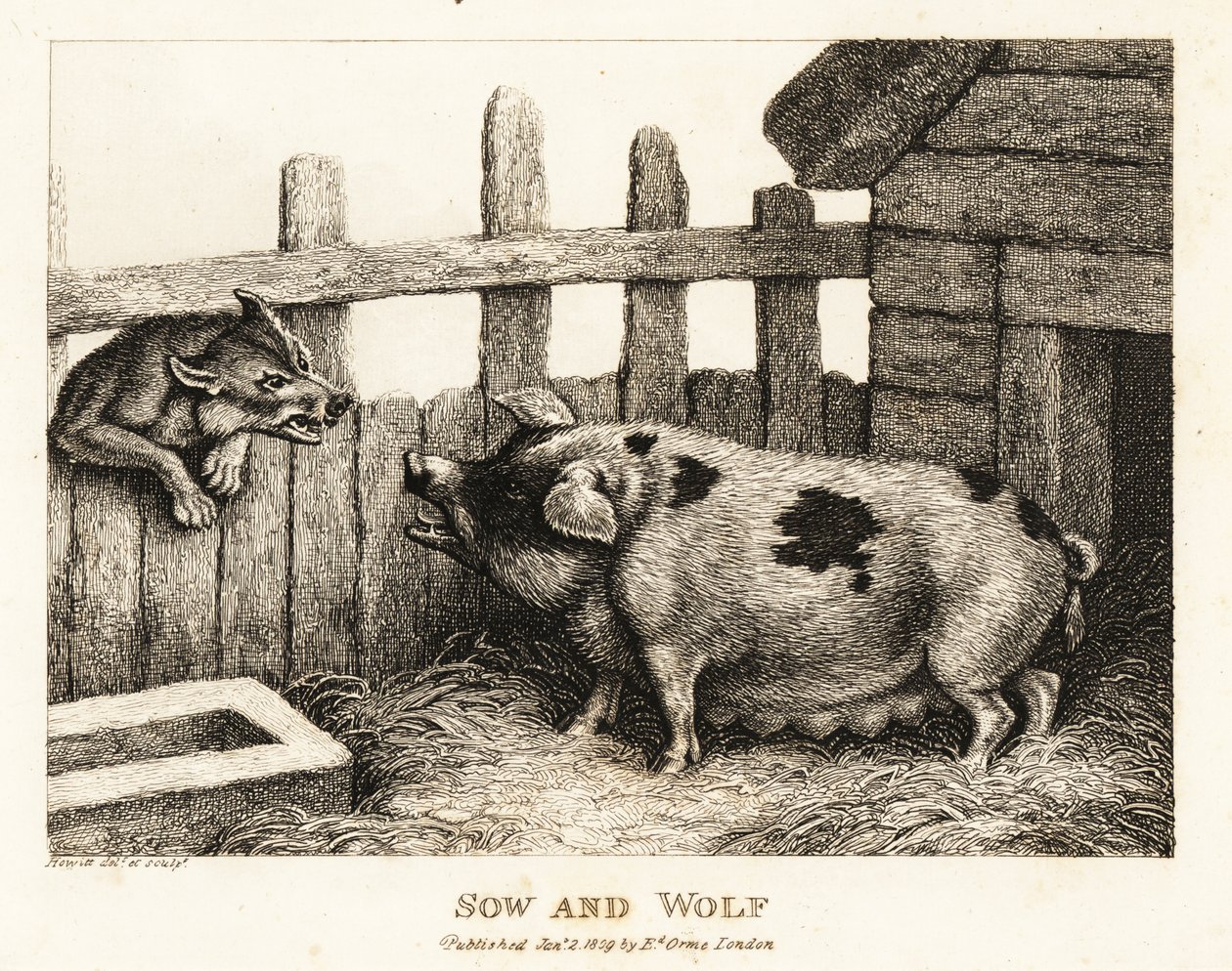 Duża locha w chlewni warcząca na wilka. 1811 (akwaforta) autorstwa Samuel Howitt