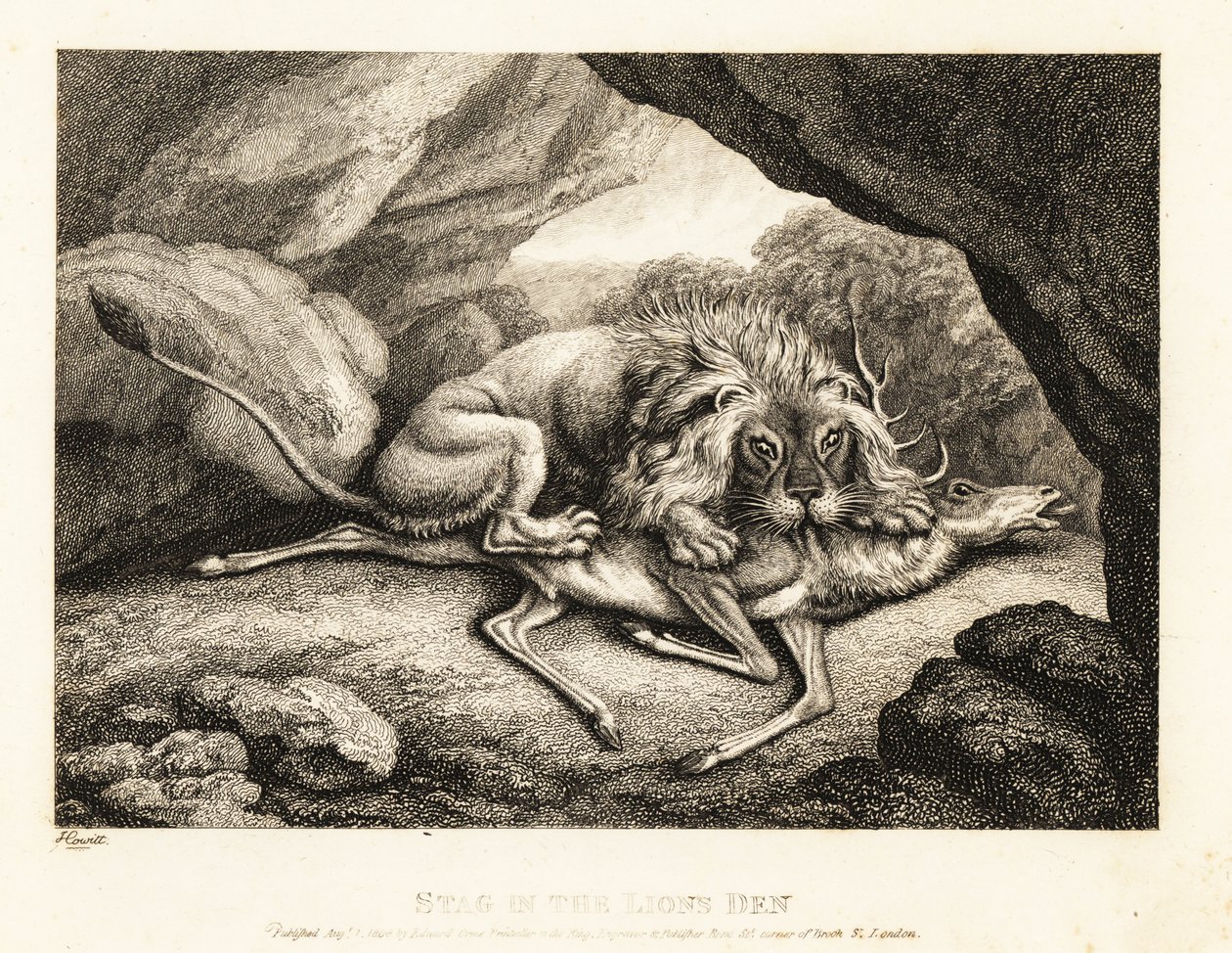 Lew jedzący zwłoki jelenia w jaskini. 1811 (akwaforta) autorstwa Samuel Howitt