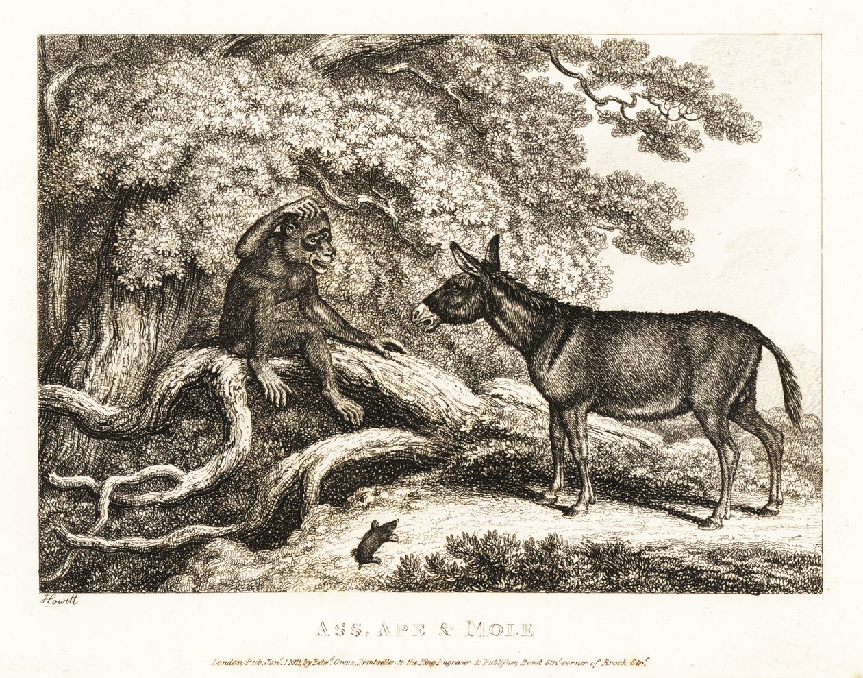 Małpa i osioł jęczą, dopóki kret ich nie uciszy. 1811 (akwaforta) autorstwa Samuel Howitt
