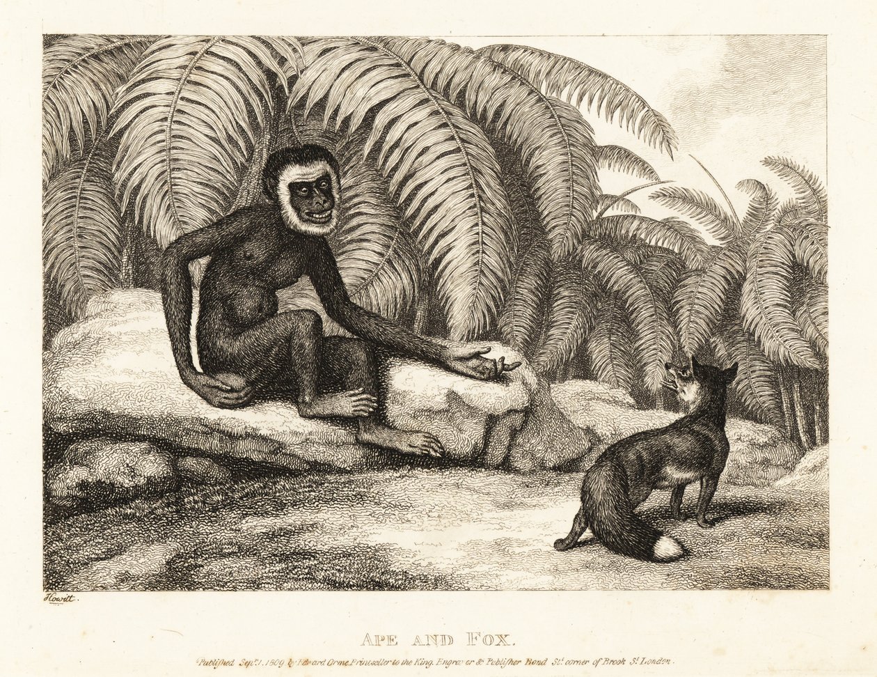 Bezogonowa małpa prosi lisa o kawałek jego ogona. Małpa i lis. 1811 (akwaforta) autorstwa Samuel Howitt