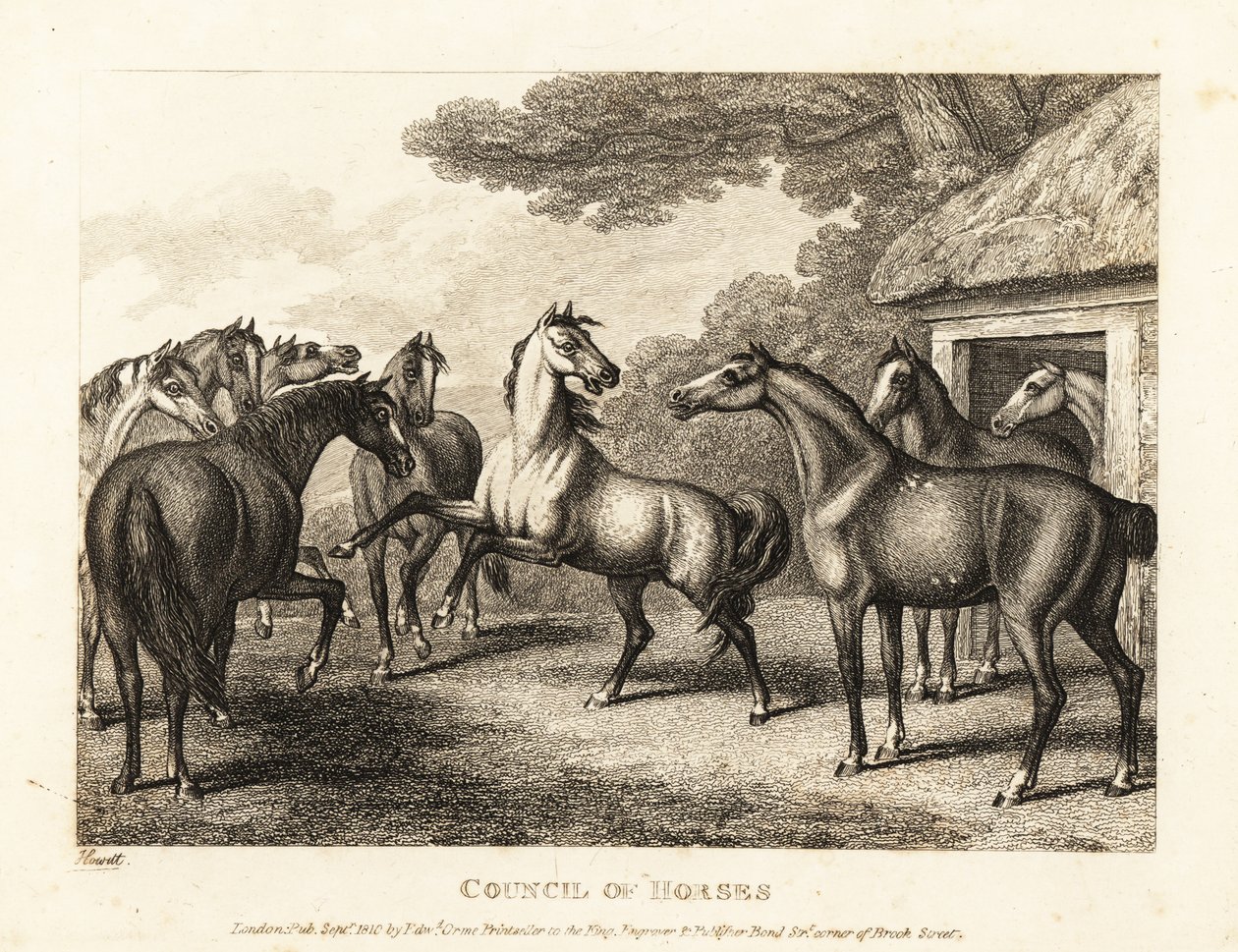 Młody źrebak próbuje wywołać bunt w stajni. 1811 (akwaforta) autorstwa Samuel Howitt