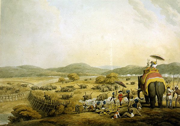 Wbijanie słoni do Dżuddy (akwarela na papierze) autorstwa Samuel Howitt
