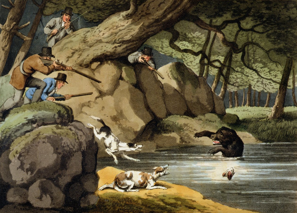 North America Bear Hunt, grawerowane przez Matthew Dubourga, wydane przez Edwarda Orme, 1813 autorstwa Samuel Howitt