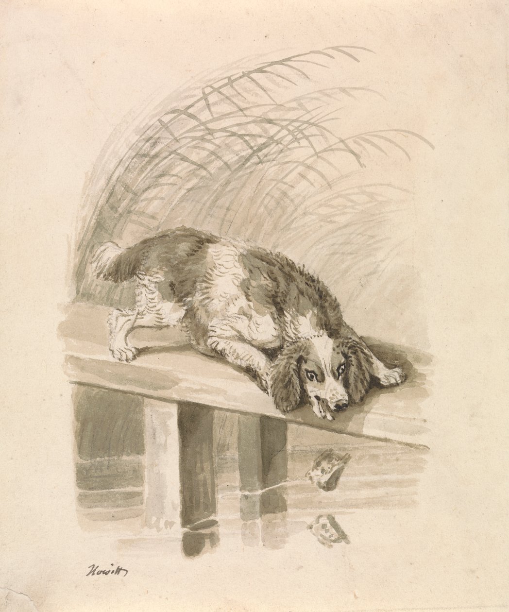 El Allqu y El Sombra pulido autorstwa Samuel Howitt