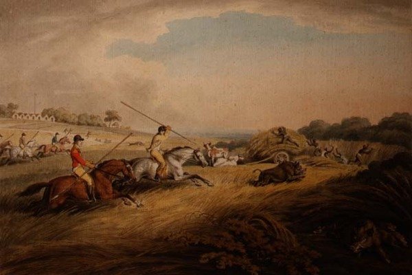 The Hog Chase - Across Fields, z „Kolekcji brytyjskich nadruków sportowych Orme” autorstwa Samuel Howitt