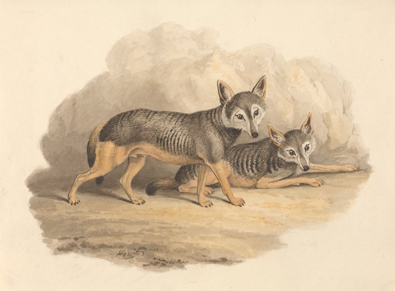 Dwie hieny autorstwa Samuel Howitt