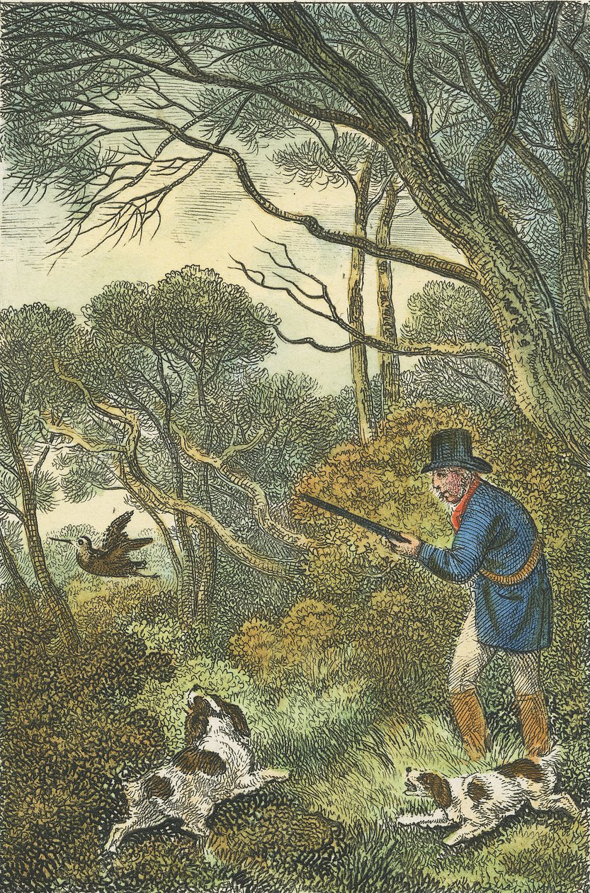 Woodcock Shooting, 1819 (rycina ręcznie kolorowana) autorstwa Samuel Howitt