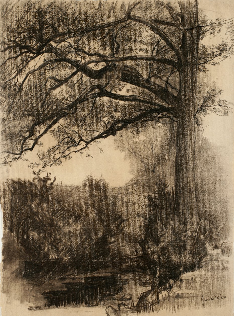 Pejzaż z dużym drzewem, 1884 (węgiel na buff lay paper) autorstwa Samuel Isham
