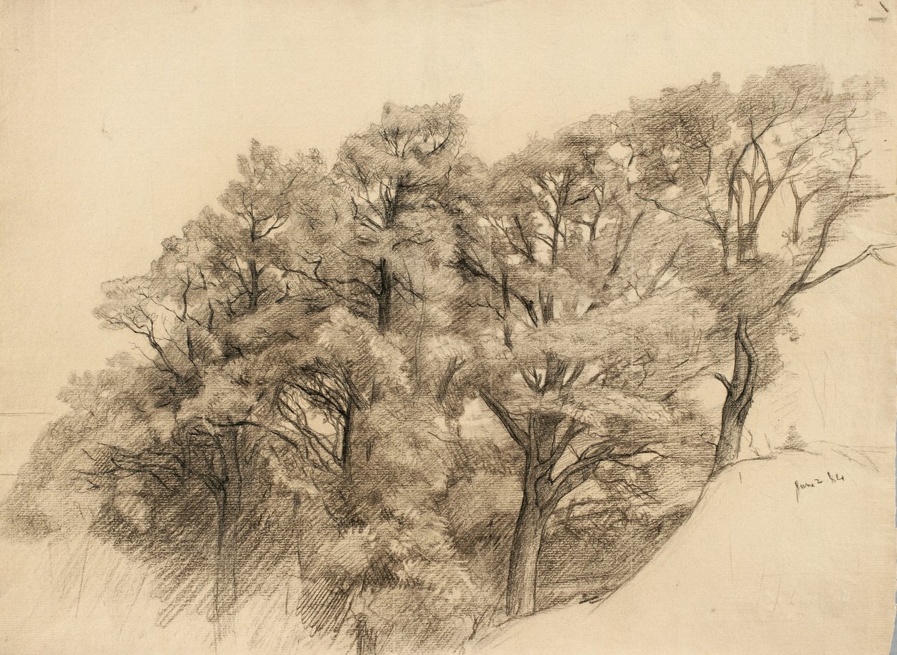 Pejzaż z drzewami, 1884 (węgiel na buff lay paper) autorstwa Samuel Isham