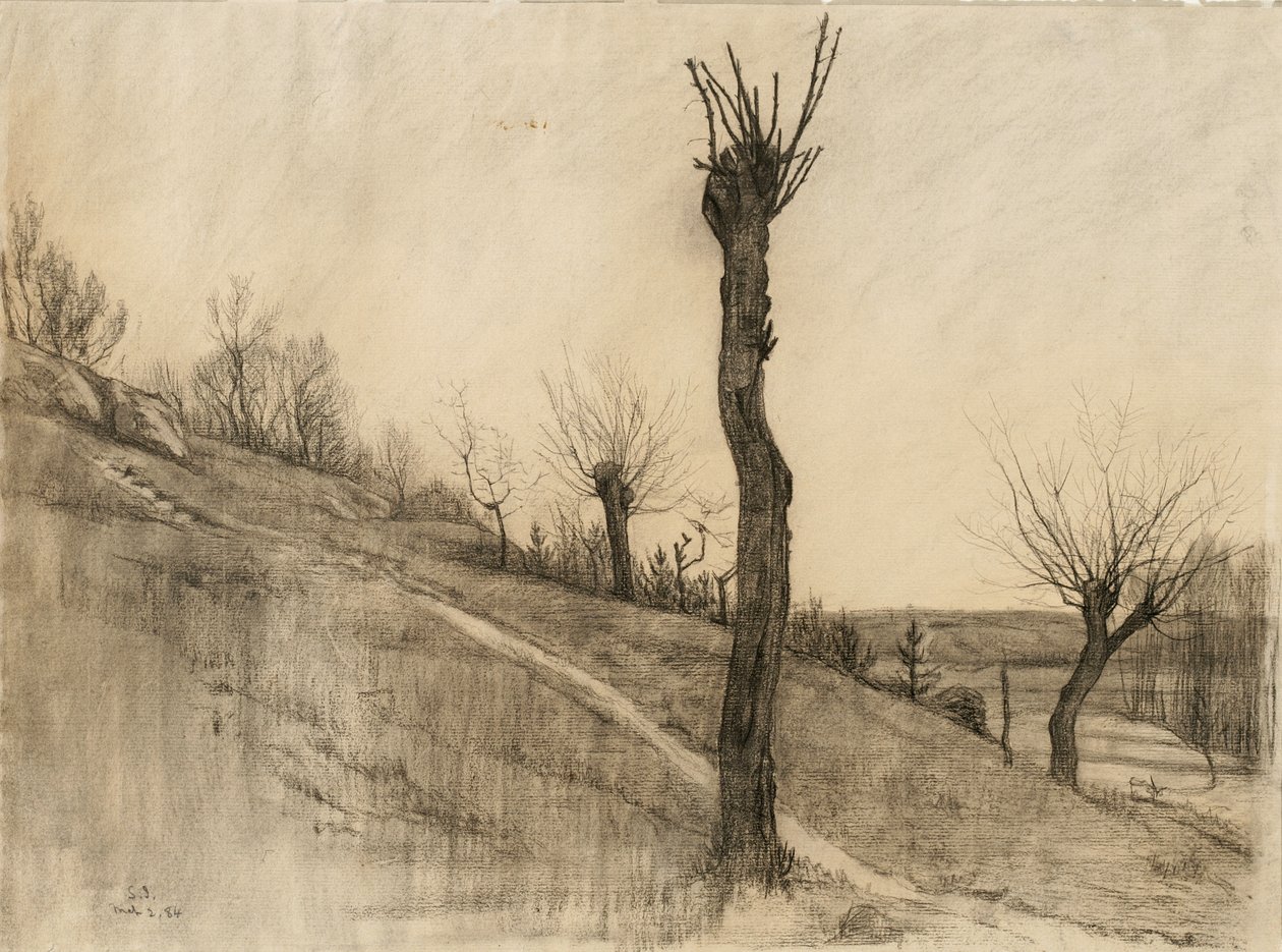 Pejzaż późnozimowy, 1884 (węgiel na buff lay paper) autorstwa Samuel Isham