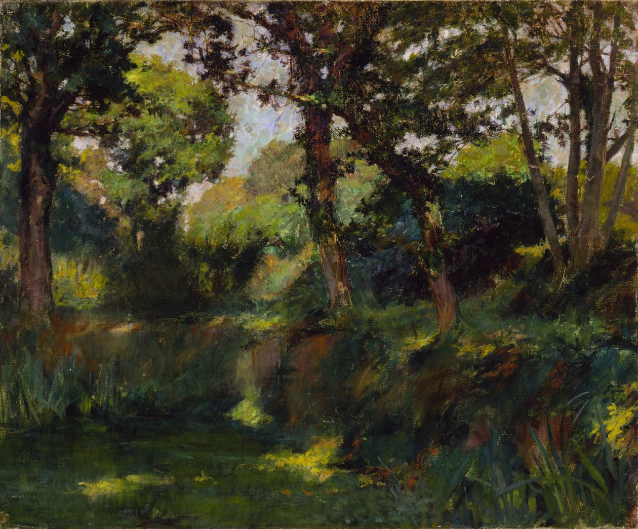 Zalesiony krajobraz autorstwa Samuel Isham