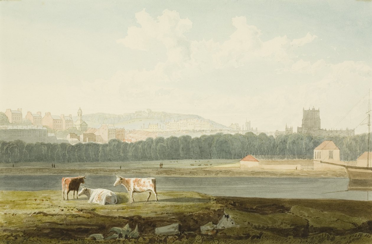 Widok na pływający port, z St George