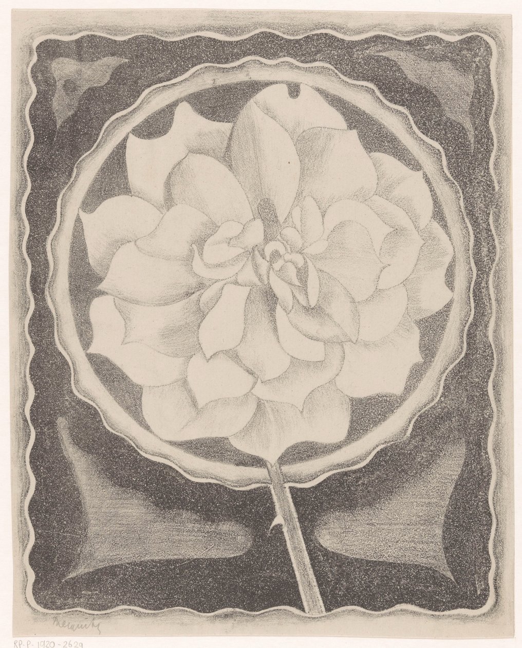 Roos autorstwa Samuel Jessurun de Mesquita (signed by artist)