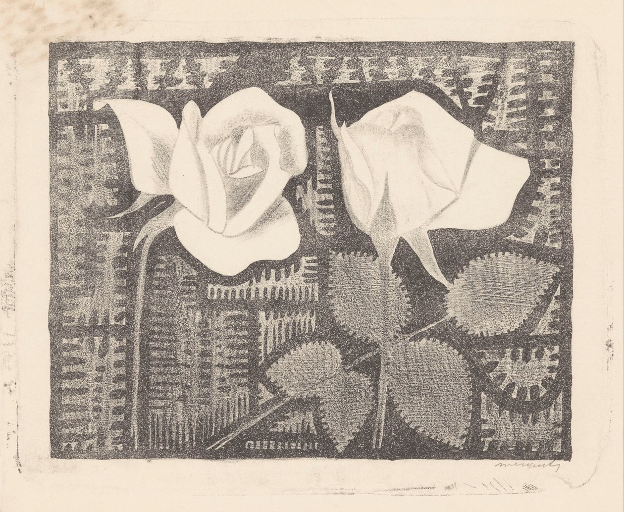Dwie róże autorstwa Samuel Jessurun de Mesquita (signed by artist)