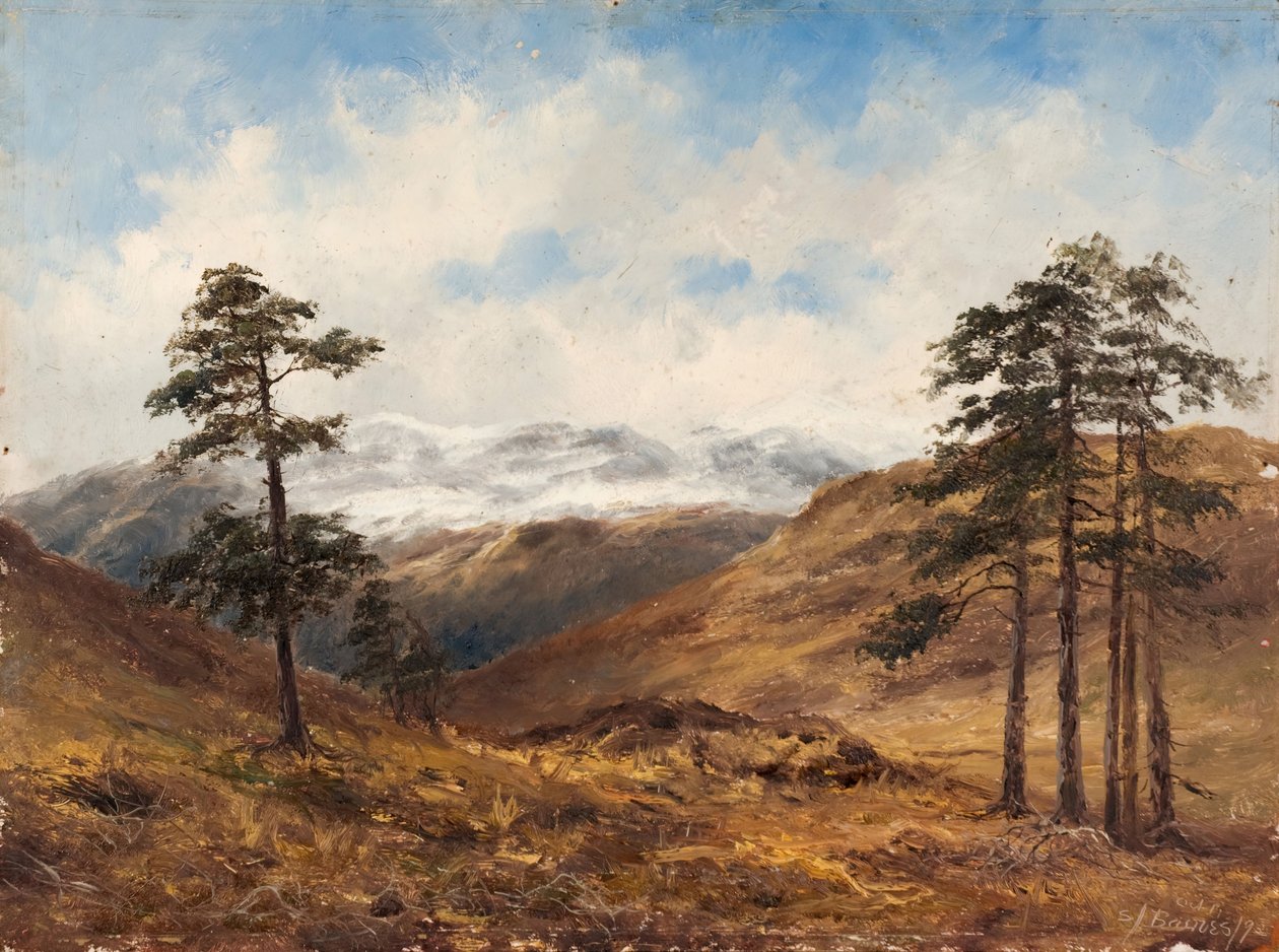 W pobliżu Balmoral, 1893. autorstwa Samuel John Barnes