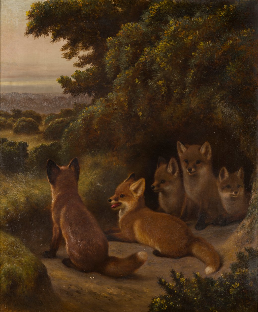 Miot młodych lisów, ok. 1855-92 (olej na płótnie) autorstwa Samuel John Carter