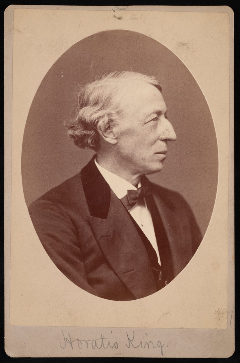 Portret króla Horatio 1811-1897, w latach 1876-1880. autorstwa Samuel Montague Fassett