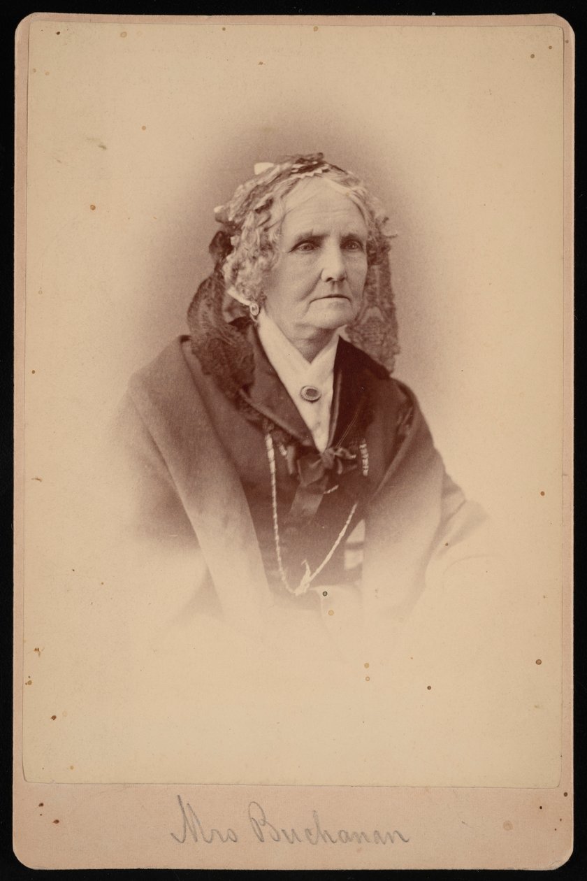 Portret pani Buchanan, 1875. autorstwa Samuel Montague Fassett