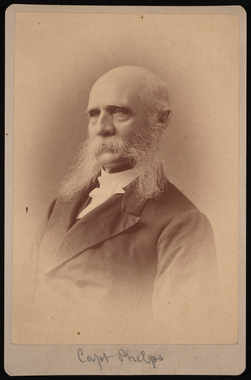 Portret Setha Ledyarda Phelpsa 1824-1885, 1878. autorstwa Samuel Montague Fassett