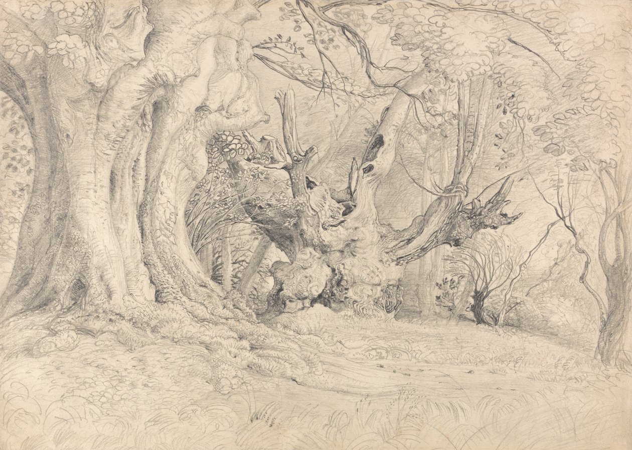 Starożytne drzewa, Lullingstone Park autorstwa Samuel Palmer
