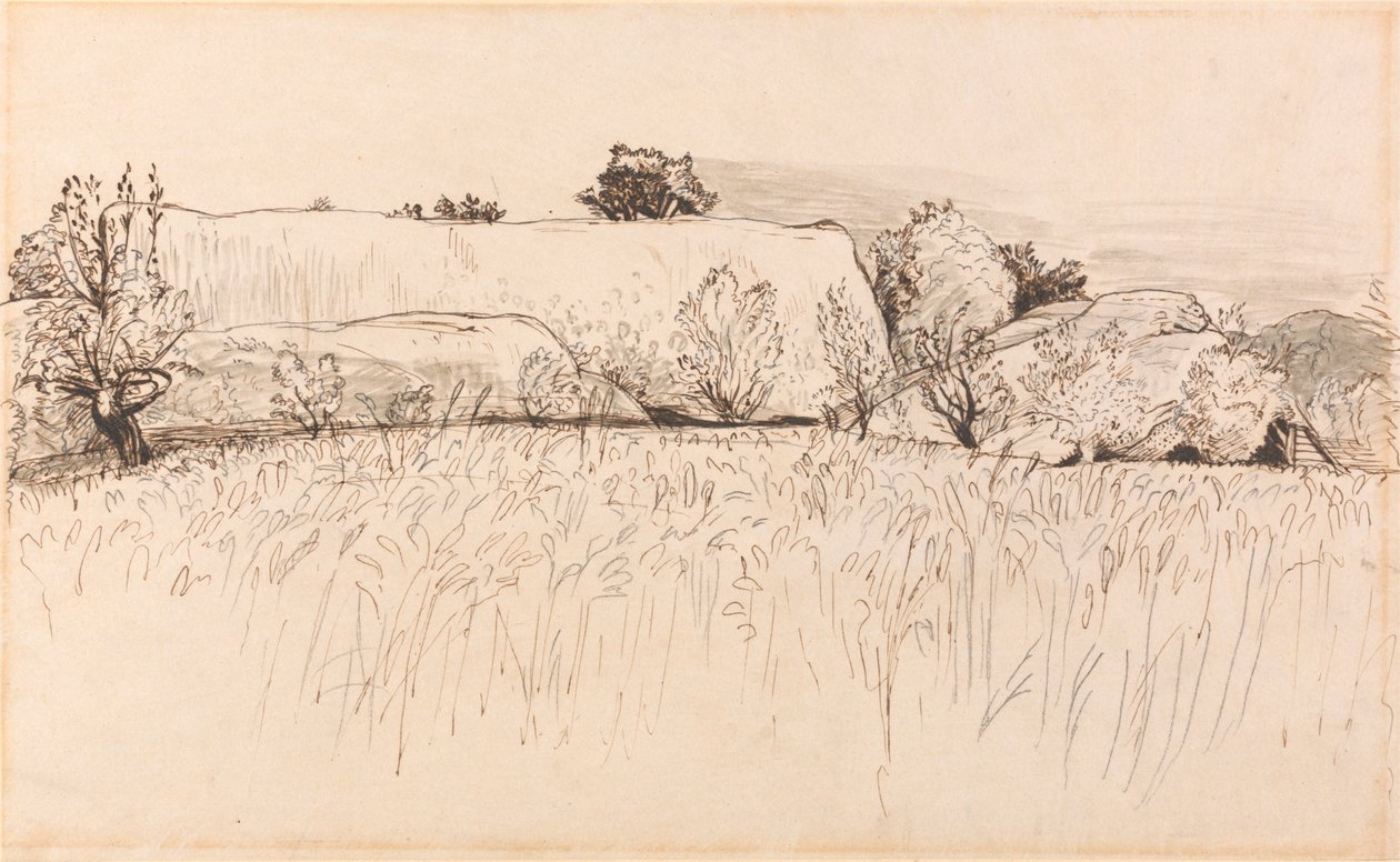 Pola kukurydzy ze stodołą, Shoreham autorstwa Samuel Palmer