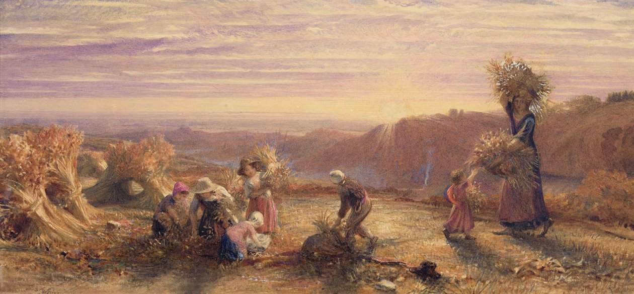 Zachód słońca nad Polami Kłosów autorstwa Samuel Palmer