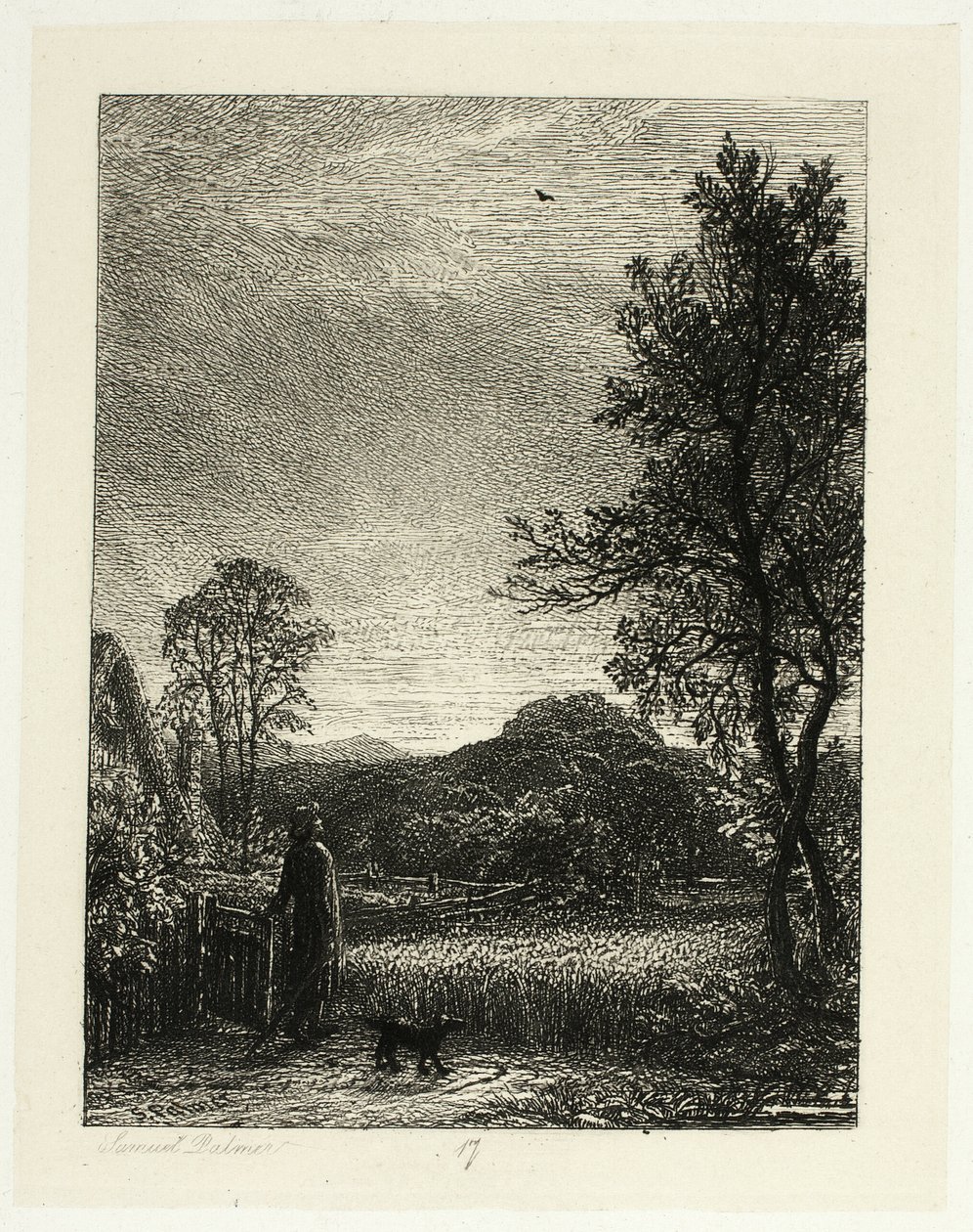 Skylark autorstwa Samuel Palmer