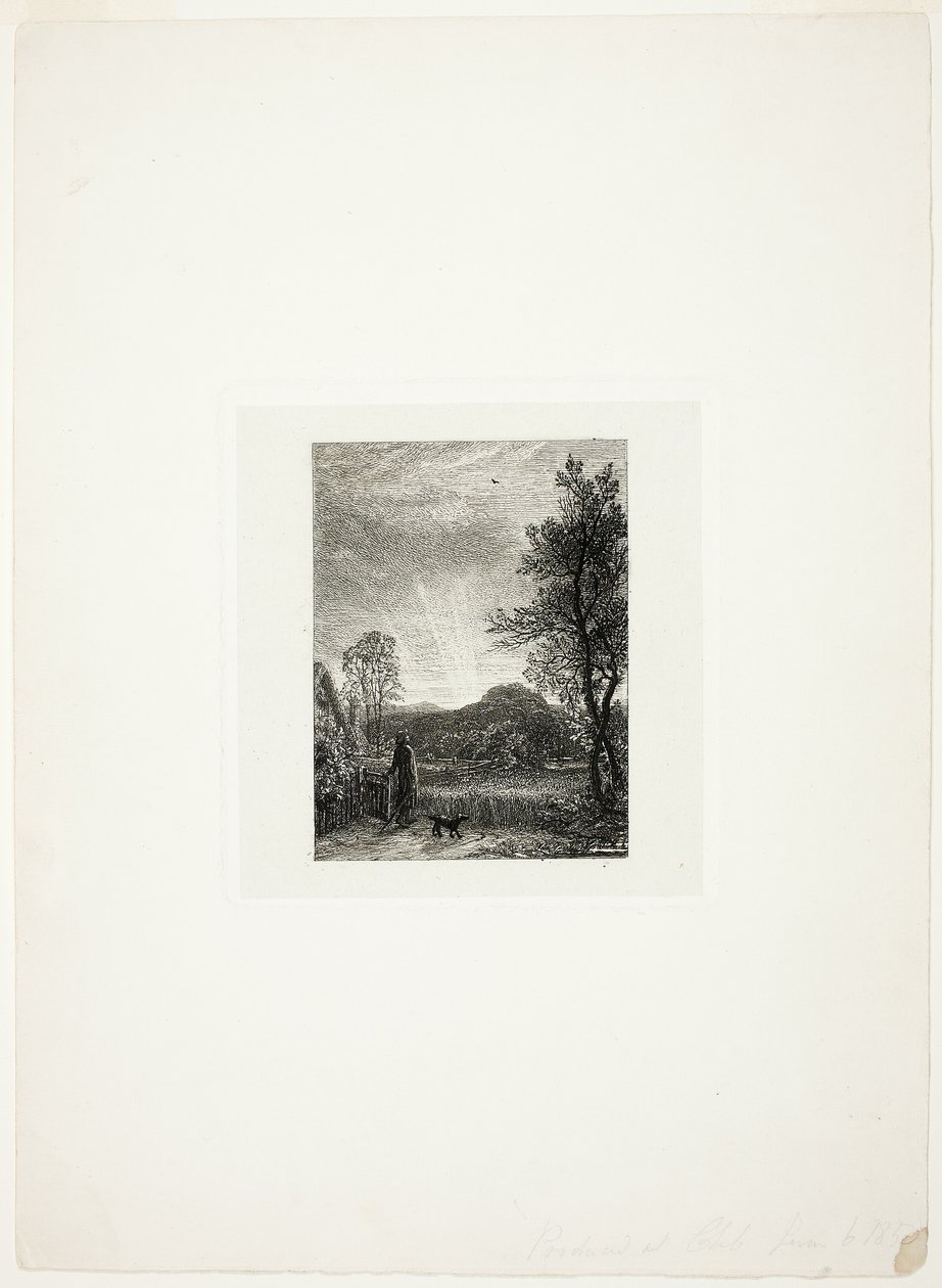 Skylark autorstwa Samuel Palmer