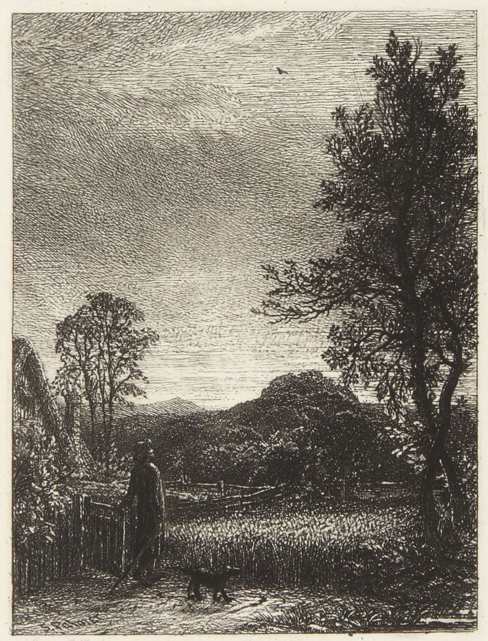 Skowronek autorstwa Samuel Palmer