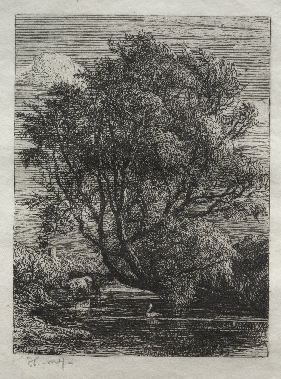 Wierzba autorstwa Samuel Palmer