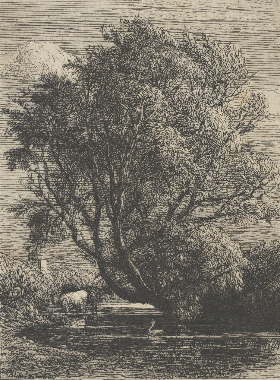 Wierzba, 1850. autorstwa Samuel Palmer