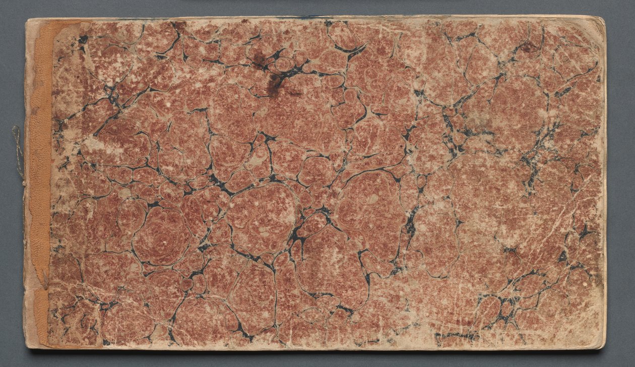 Album autorstwa Samuel Prout