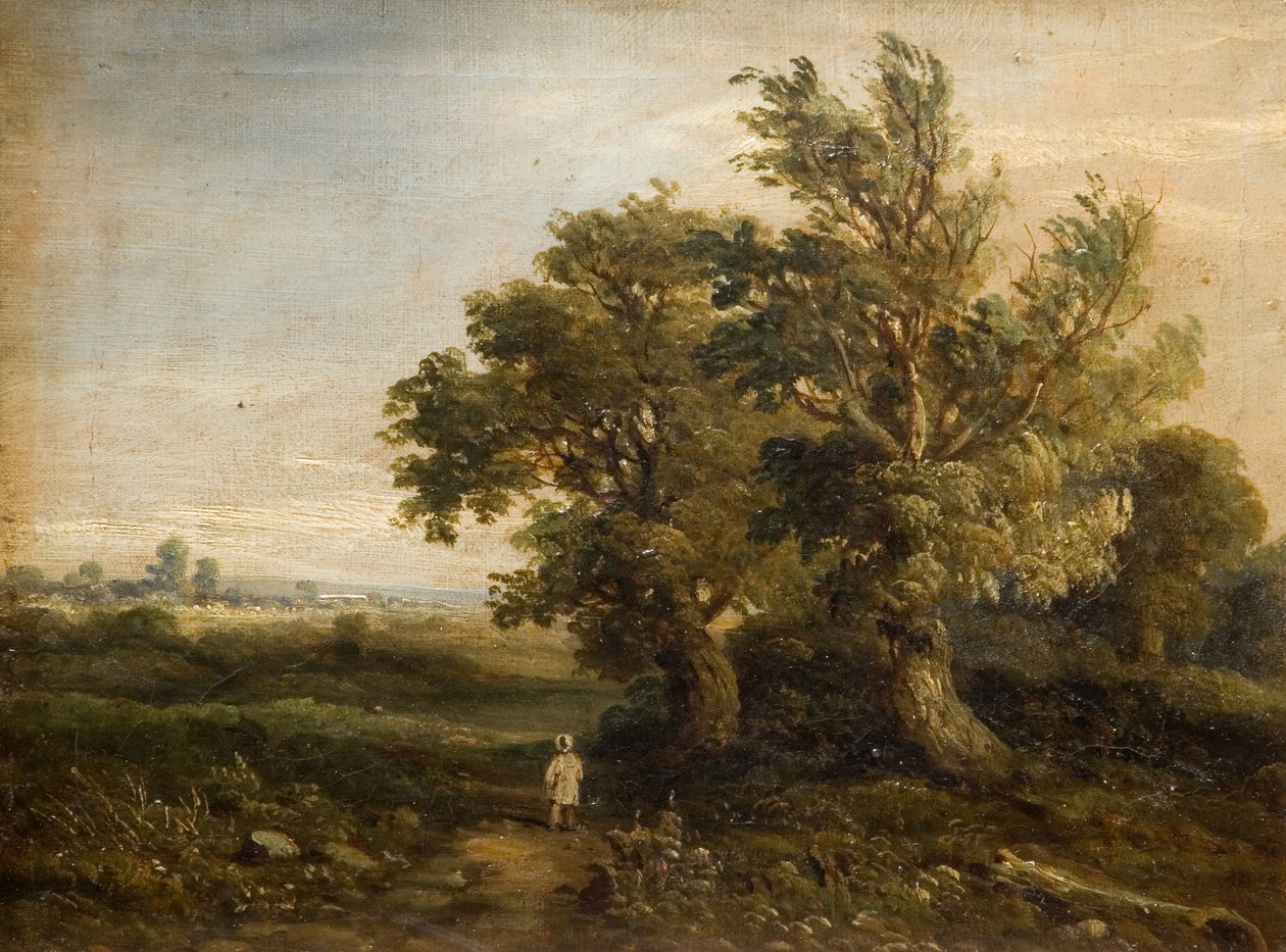 Krajobraz z drzewami, 1863. autorstwa Samuel Restell Lines