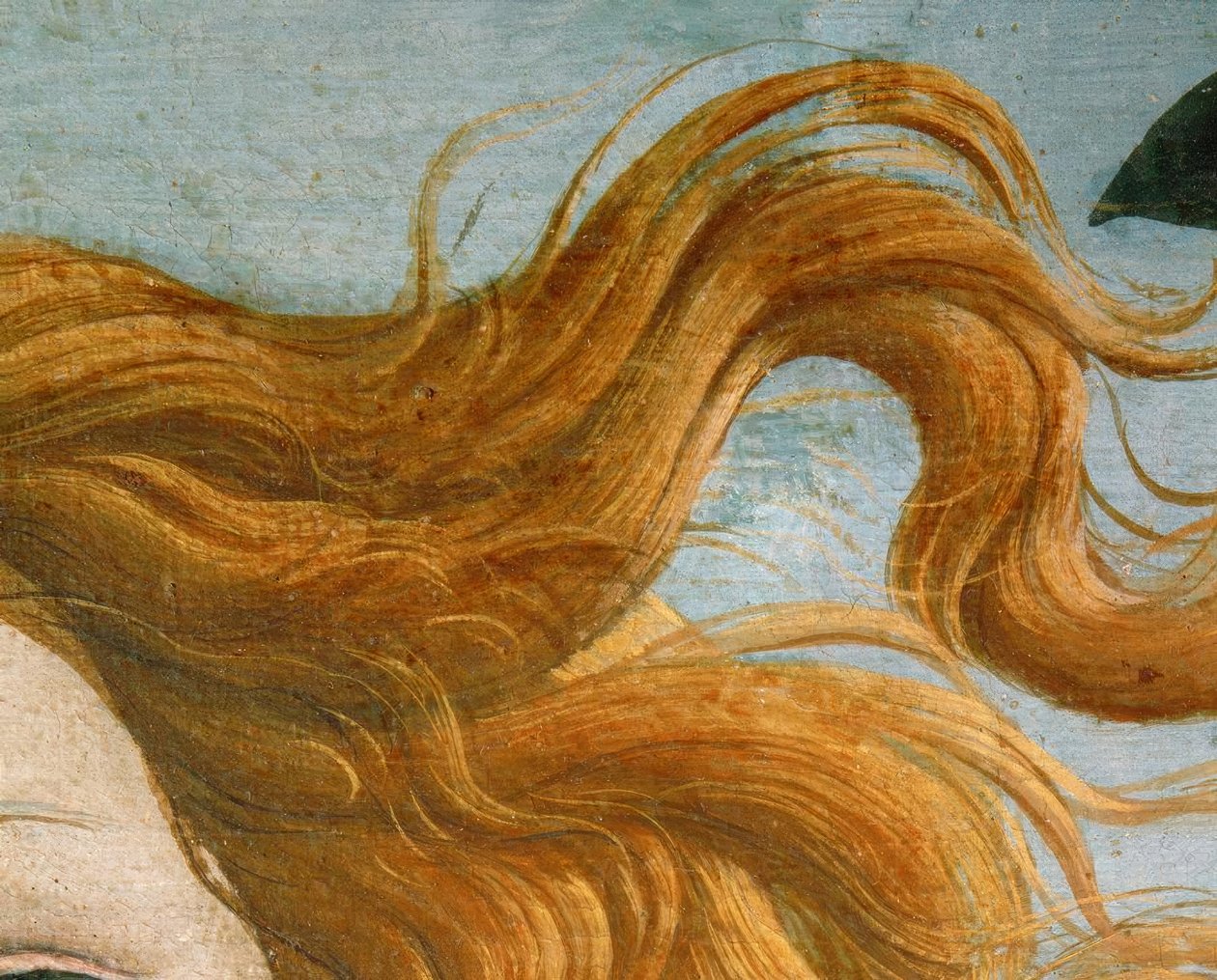 Narodziny Wenus autorstwa Sandro Botticelli