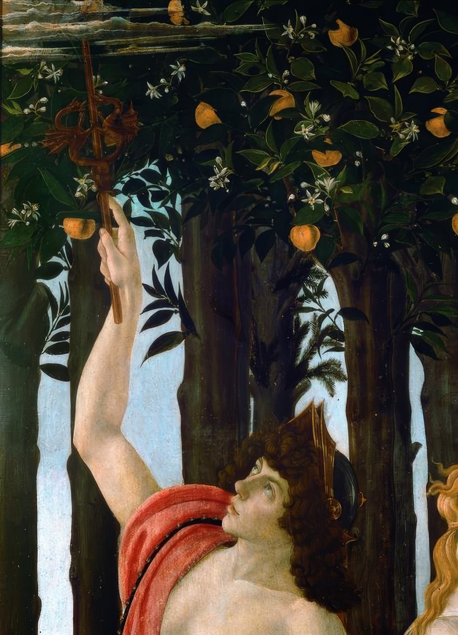 Wiosna autorstwa Sandro Botticelli