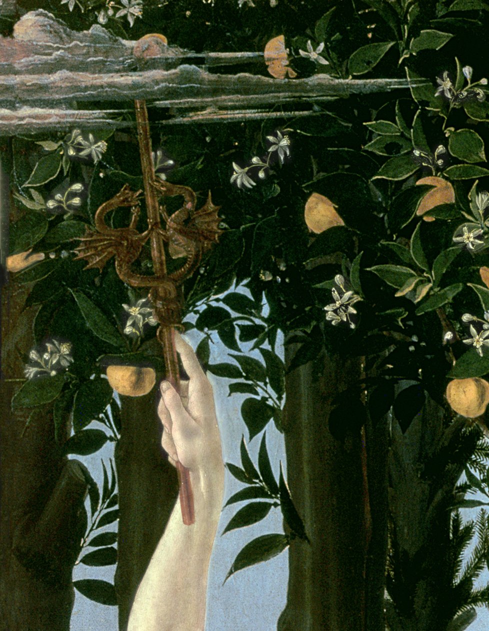 Primavera, ok.1478, tempera na detalu panelu z 558 autorstwa Sandro Botticelli