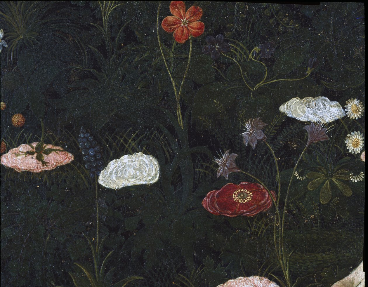Primavera, ok. 1478, tempera na płycie, detal z 558 autorstwa Sandro Botticelli