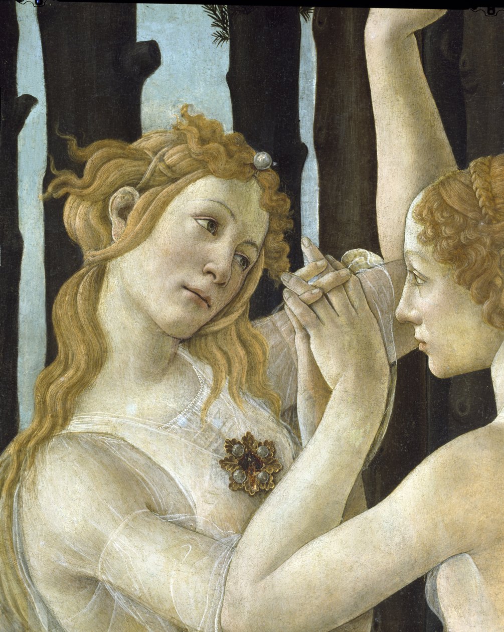 Primavera, ok. 1478, tempera na płycie, detal z 558 autorstwa Sandro Botticelli