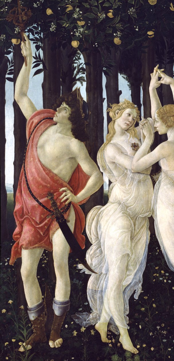 Primavera, ok.1478,tempera na panelu z 558 autorstwa Sandro Botticelli