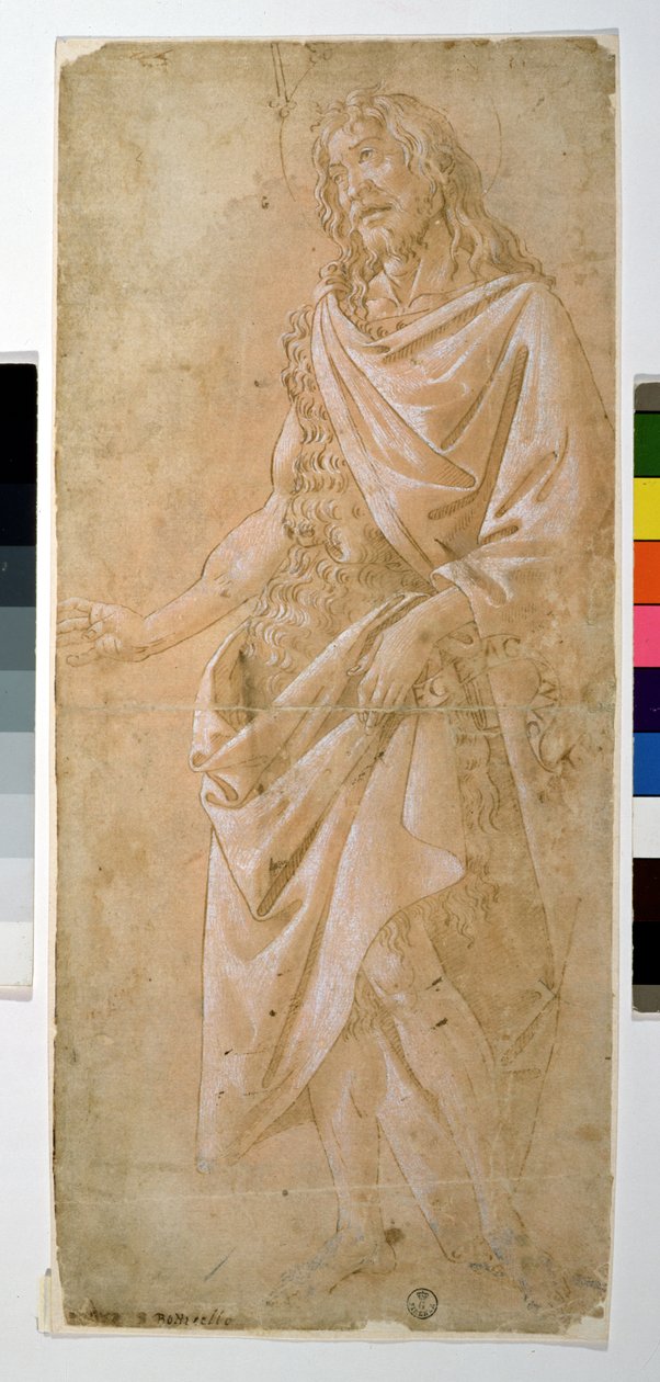 Studium św. Jana Chrzciciela (rysunek) autorstwa Sandro Botticelli